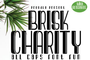 Brisk Charity: A Friendly Font for Modern Web Design