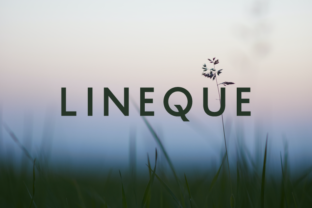 Lineque: The Font That Boosted My Bakery’s Brand