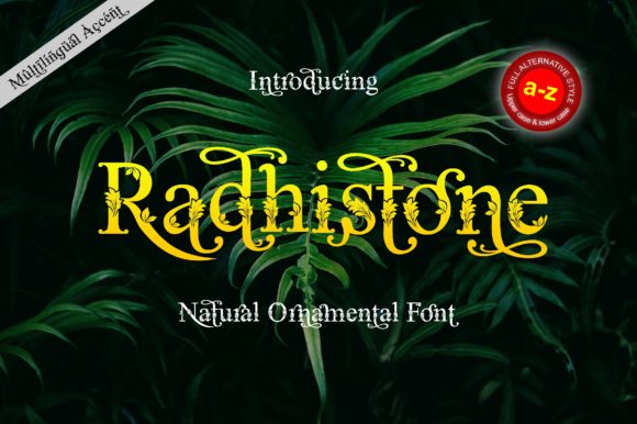 Radhistone: A Serif Font That Elevates Your Digital Brand