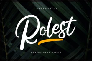 Rolest: A Script Font That Elevates Campaigns