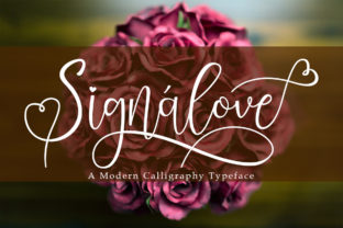 Signalove: A Modern Script Font for Web Design