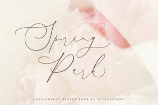 Spring Park: A Modern Script Font for Branding Projects